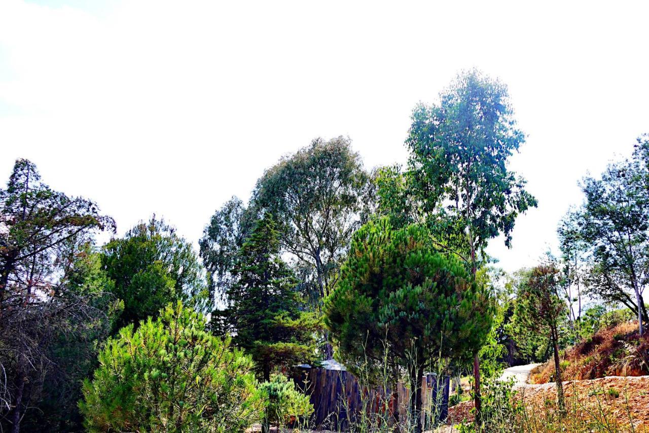 Herdade Clube Tiro 몬포티노 외부 사진