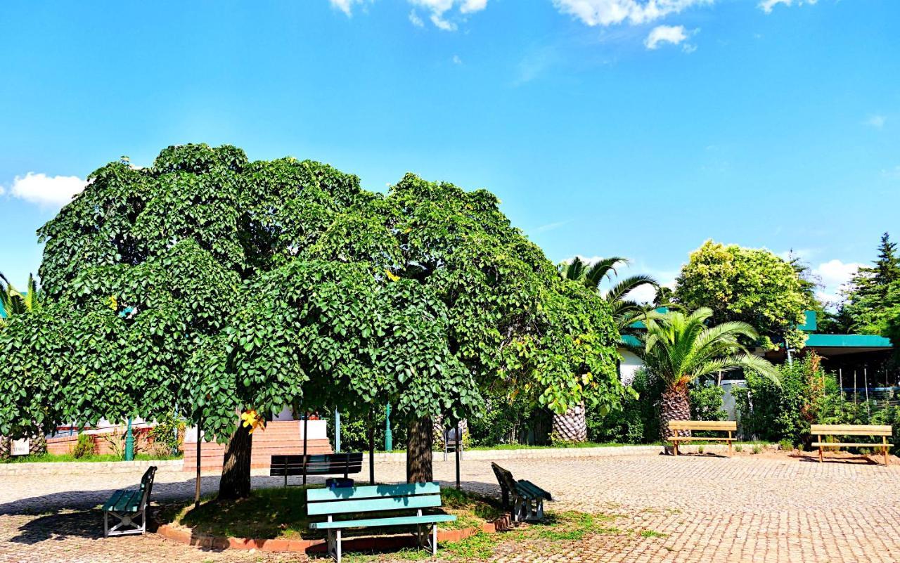 Herdade Clube Tiro 몬포티노 외부 사진