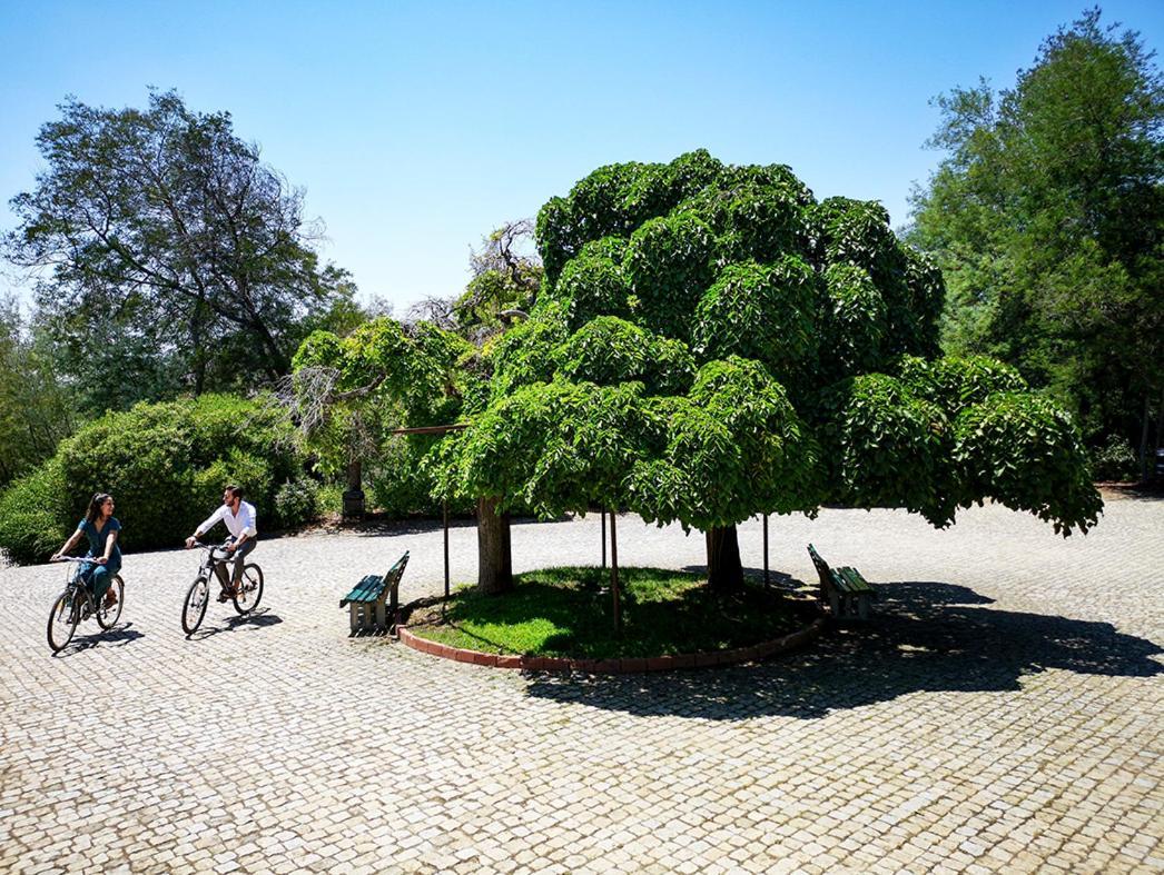 Herdade Clube Tiro 몬포티노 외부 사진